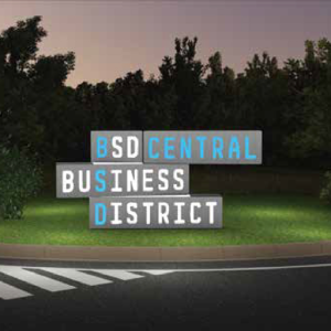 BSD City